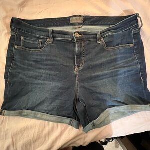 Torrid shorts